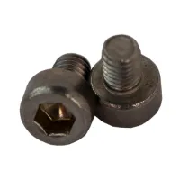 Bikeshop Unbrakoskrue M3 x 4 mm - 2 stk Bikeshop Unbrakoskrue M3 x 4 mm - 2 stk