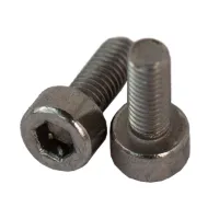 Bikeshop Unbrakoskrue M3 x 8 mm - 2 stk Bikeshop Unbrakoskrue M3 x 8 mm - 2 stk
