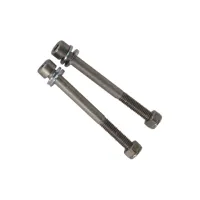 Bikeshop Unbrakoskrue M6 x 65 mm - 2 stk Bikeshop Unbrakoskrue M6 x 65 mm - 2 stk