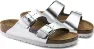 Metallic silver
