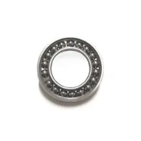 BLACK BEARING 6802-2rs Ceramic Lager