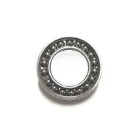 BLACK BEARING 6901-2rs Ceramic Lager