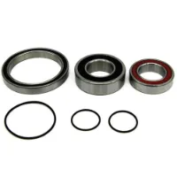 BLACK BEARING Perline/cx Lager