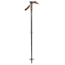 Black Diamond Carbon Whippet Vandrestok 1 Enhet, Gray / black / orange, 100-140cm