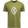 Camp green