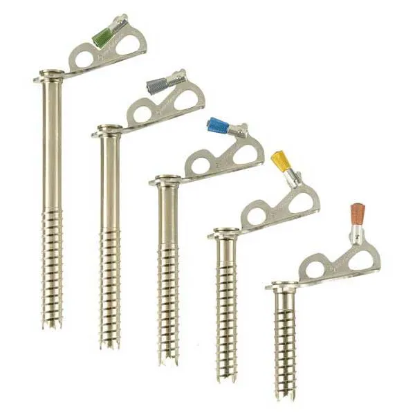 Black Diamond Express Ice Screw 16 Cm Iskrue