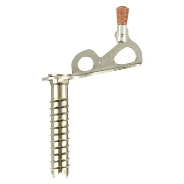 Black Diamond Express Ice Screw 16 Cm Iskrue