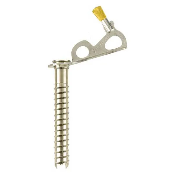 Black Diamond Express Ice Screw 16 Cm Iskrue