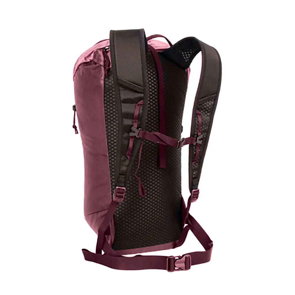Blue Ice Dragonfly 18l Ryggsekk