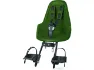 Olive green 2