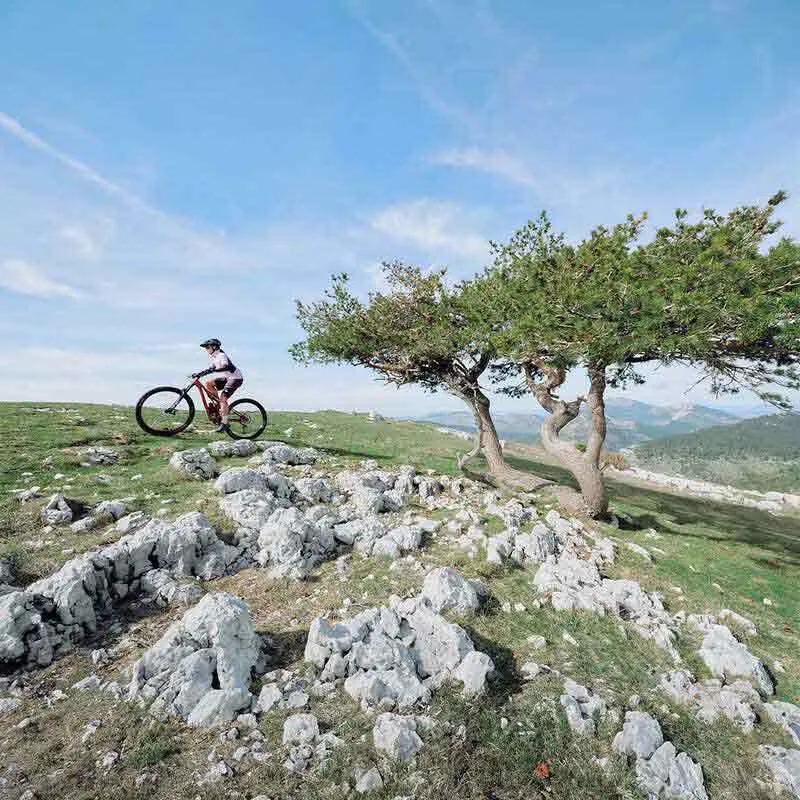 Bollé Adapt Pure Mips Mtb-hjelm Bollé Adapt Pure Mips Mtb-hjelm