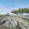 Bollé Adapt Pure Mips Mtb-hjelm