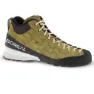 Olive 1
