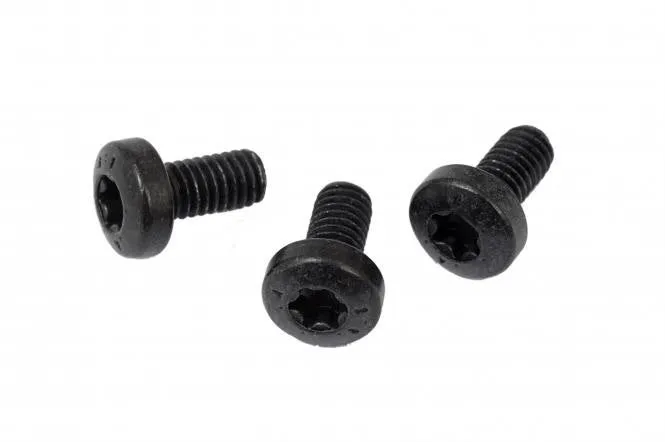 Bosch Rock Protection Screw Set, M4x8, T20