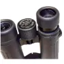 Braun Photo Compagno 8x34 Wp Kikkerter, Black, One Size