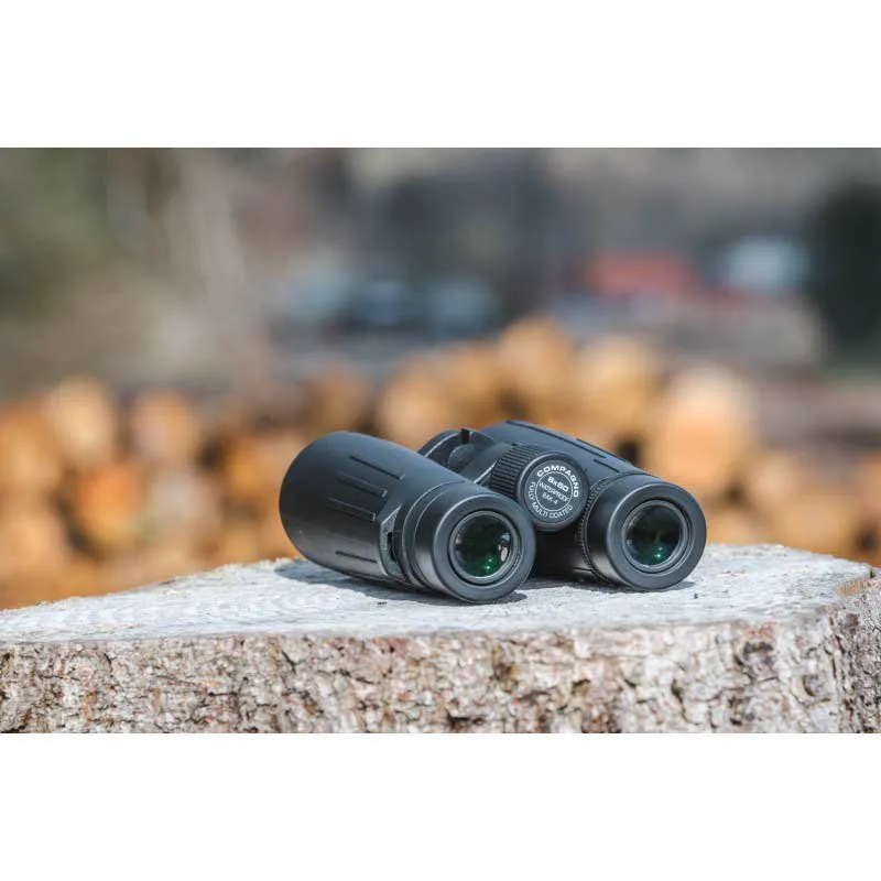 Braun Photo Compagno 8x50 Wp Kikkerter, Black, One Size