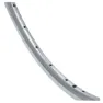 Brn Elan Felg, Silver, 700C-28" 36H
