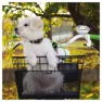 Brn Fido Kurv, Black, One Size