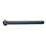 Brn M12xp1.0-b122-t15 Gjennomgående Aksel, Black, 100mm