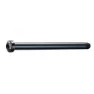 Brn M12xp1.5-b125-t16 Gjennomgående Aksel, Black, 100mm
