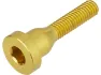 Burgtec bullion gold