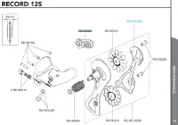Campagnolo Bakgir Feste
