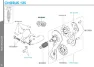 Campagnolo Bakgir Feste