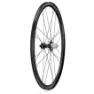 Campagnolo Bora Ultra Wto 33 Disc Tubeless Landeveishjulsett
