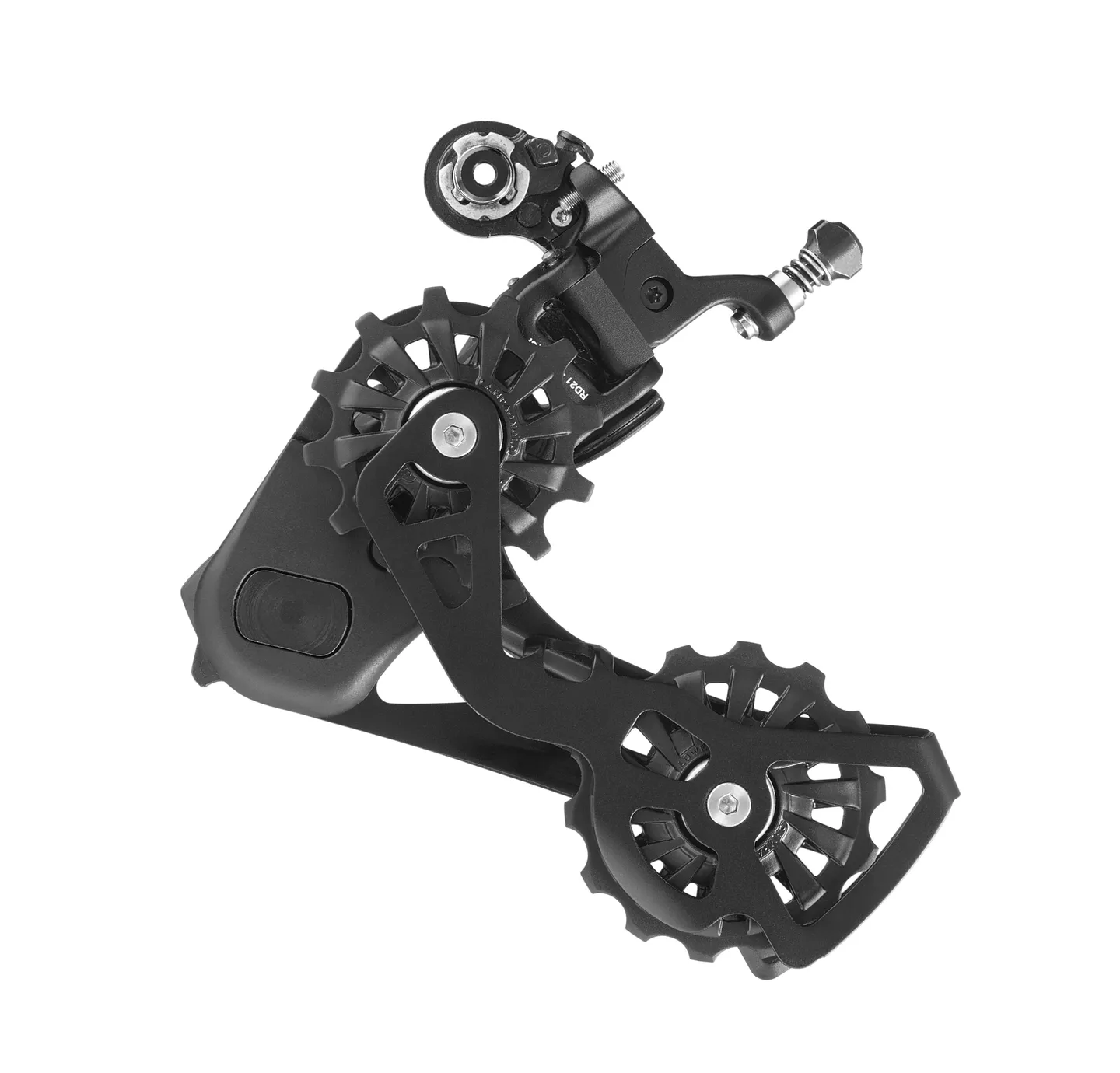 Campagnolo Ekar Bakgir, Black, 13s, Max 44t