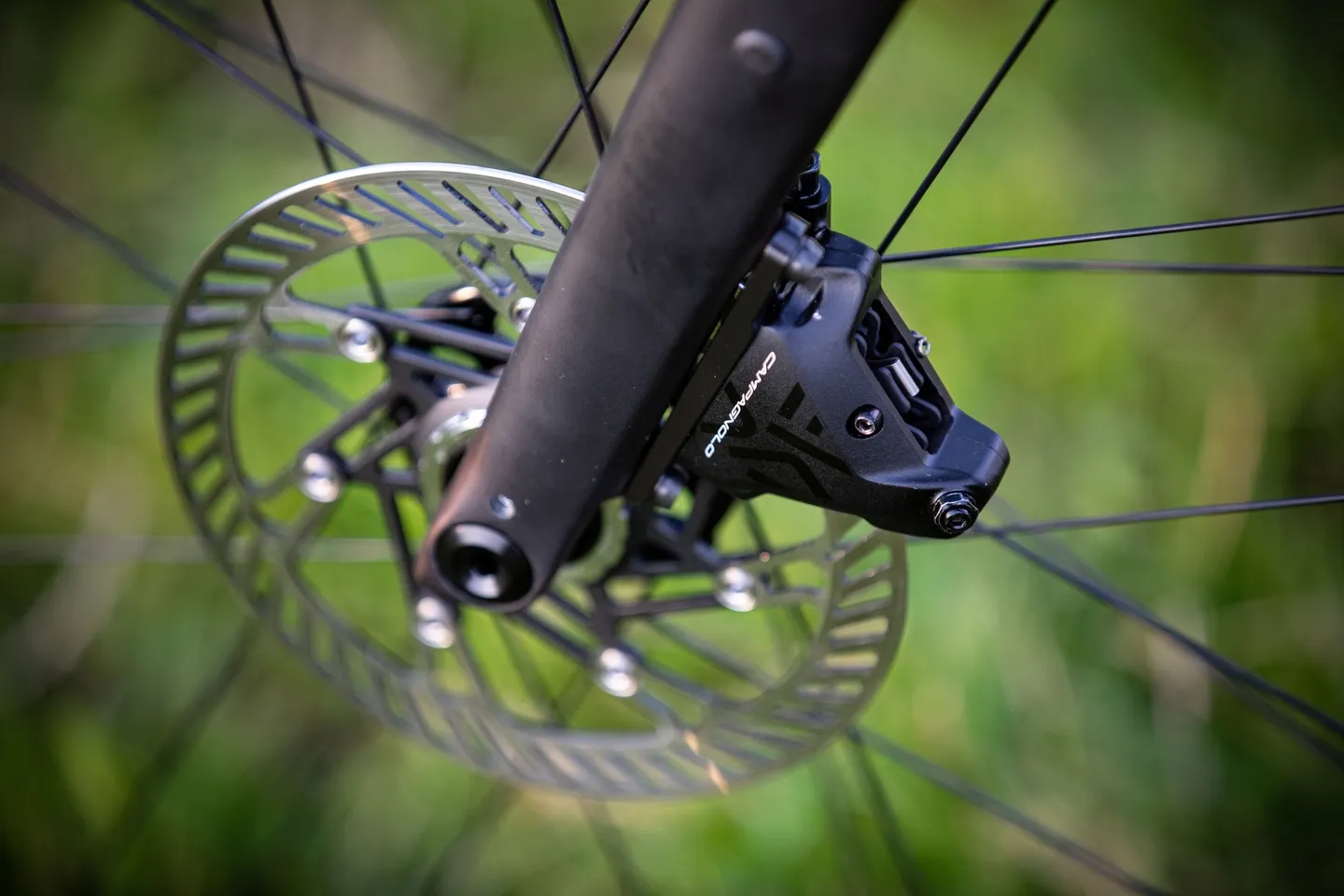 Campagnolo Ekar Bremseskive