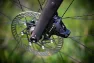 Campagnolo Ekar Bremseskive