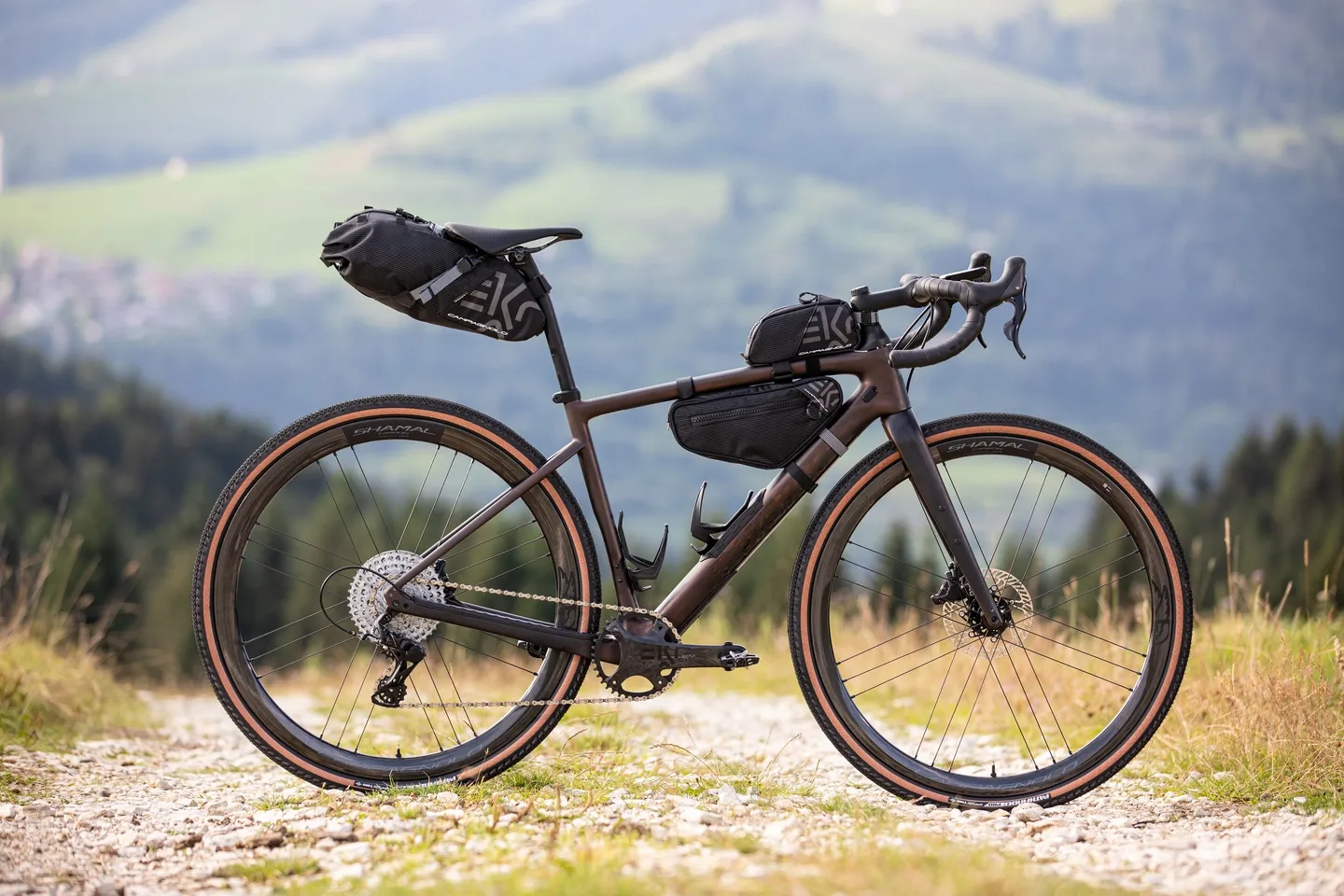 Campagnolo Ekar Kranksett Campagnolo Ekar Kranksett