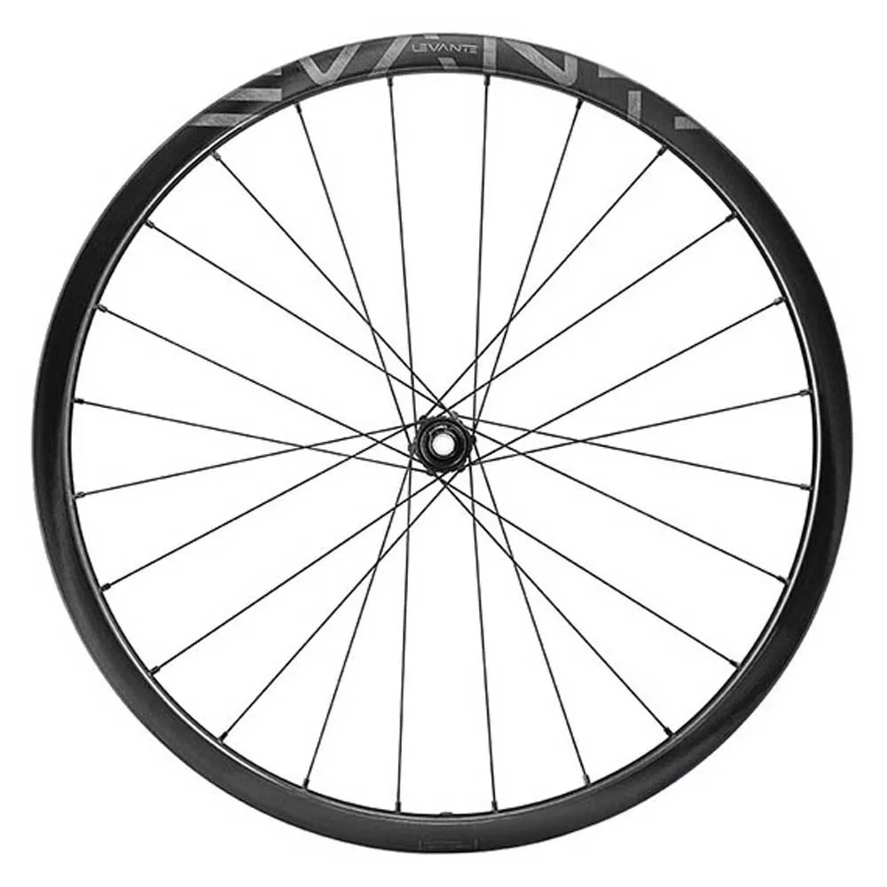 Campagnolo Levante 30 2wf Cl Disc Grus Bakhjul Refurbished, Black, 12 x 142mm