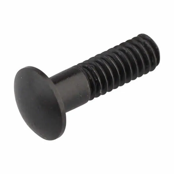 Campagnolo Nippelinnsats Magnet