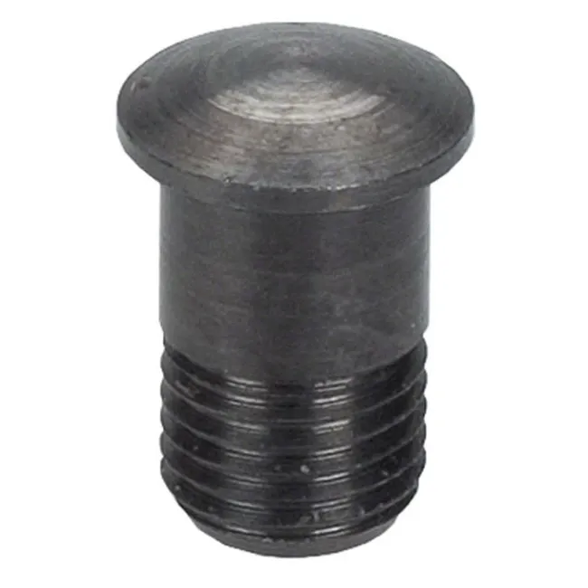 Campagnolo Nippelinnsats Magnet