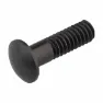 Campagnolo Nippelinnsats Magnet