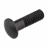 Campagnolo Nippelinnsats Magnet Campagnolo Nippelinnsats Magnet