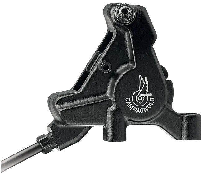 Campagnolo Record Skivebremssett