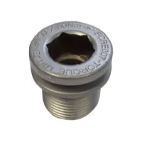 Campagnolo Ultra Torque Bolt (Stål Aksel) Campagnolo Ultra Torque Bolt (Stål Aksel)
