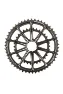 Cannondale OPI Spidering SL 10-arm, 50/34T