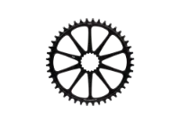 Cannondale SpideRing X-Sync, 10-arms 42T drev
