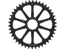 Cannondale SpideRing X-Sync, 10-arms 42T drev