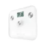 Cecotec Precision Ecopower 10100 Full Healthy Vekt