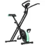 Cecotec X-bike Treningssykkel, Black / green, One Size