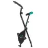 Cecotec X-bike Treningssykkel, Black / green, One Size
