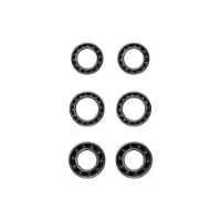 CeramicSpeed Dt1 Coated Lager