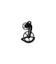 CeramicSpeed Oversized Pulley CAMPAGNOLO Coated, Black
