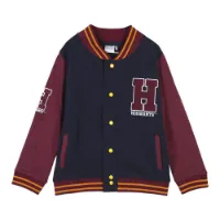 Cerda Group Cotton Brushed Harry Potter Genser Cerda Group Cotton Brushed Harry Potter Genser