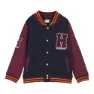 Cerda Group Cotton Brushed Harry Potter Genser, Dark blue, 7Y