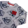 Cerda Group Cotton Brushed Paw Patrol Treningsdress, Gray